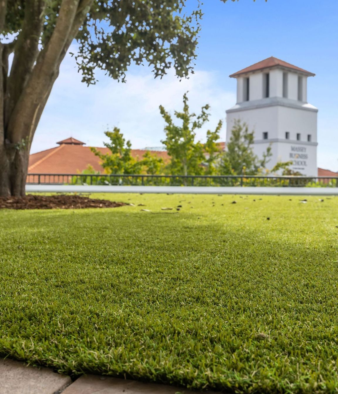 Massey University Albany Campus