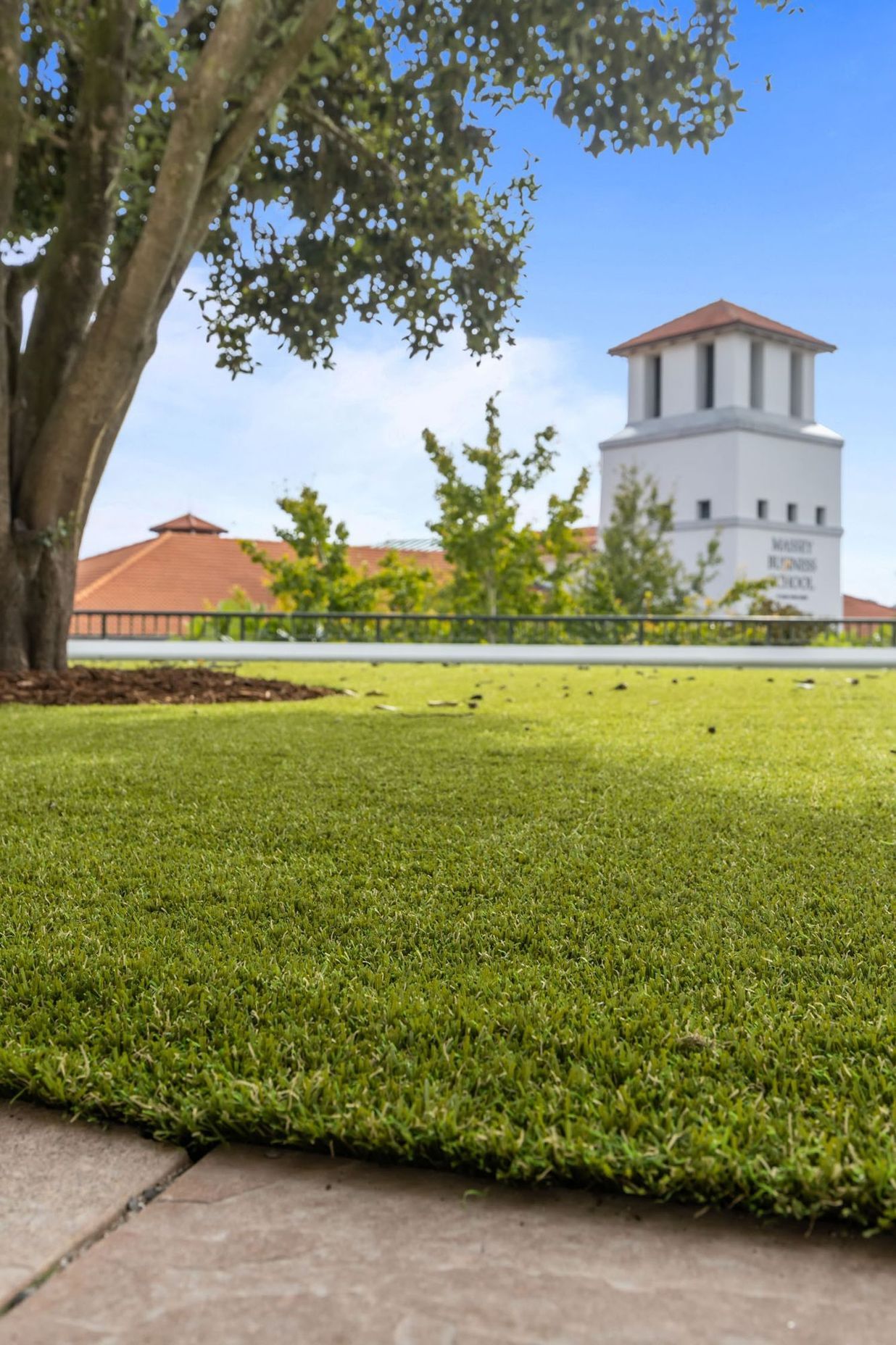 Massey University Albany Campus