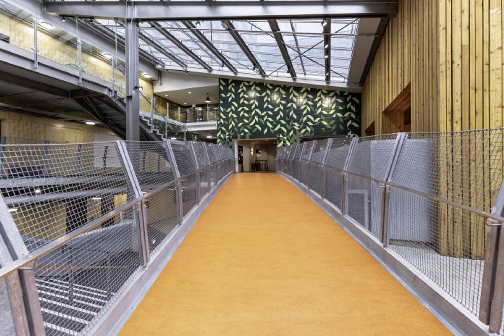 New Education Building (Rehua)