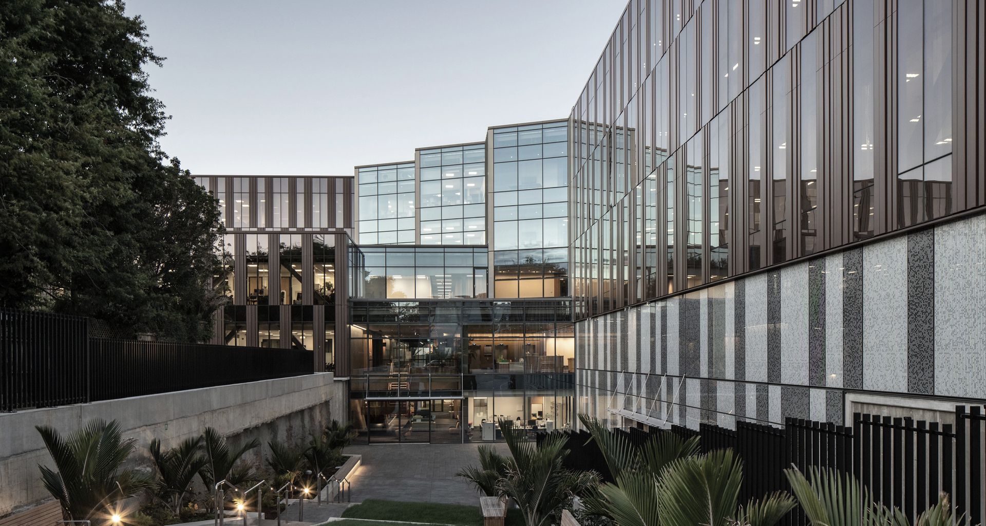 University of Auckland School of Medicine (B507) banner