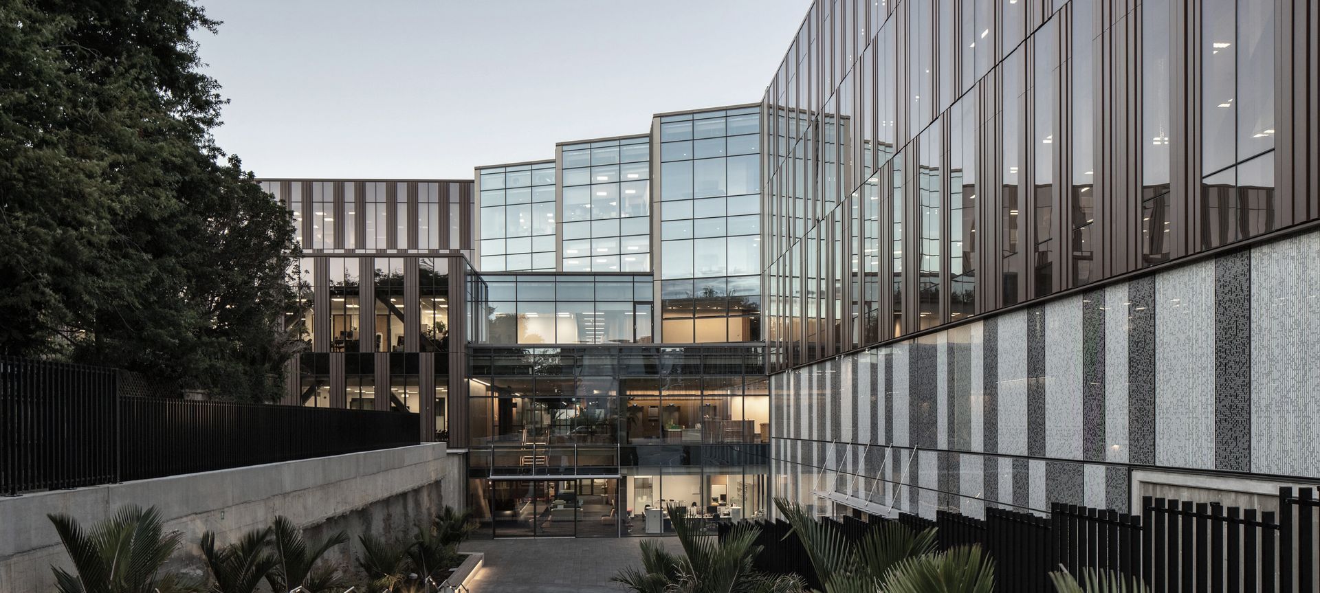 University of Auckland School of Medicine (B507) banner