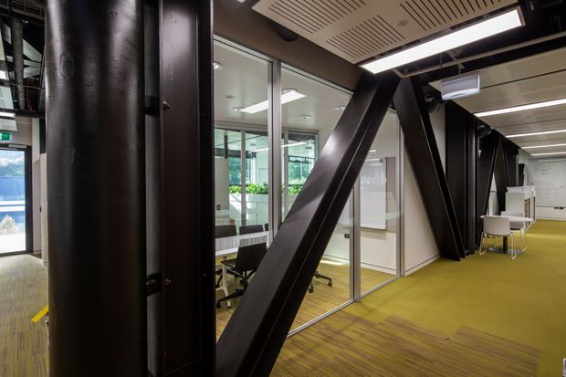 A contemporary commercial office interior with exposed black structural steel columns and diagonal bracing framing glazed meeting rooms and workspaces. The space features open-plan areas, glass partitions, white desks and chairs, suspended linear lighting, acoustic ceiling panels, and green-brown carpet flooring.