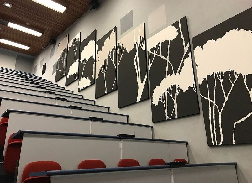 University of Waikato