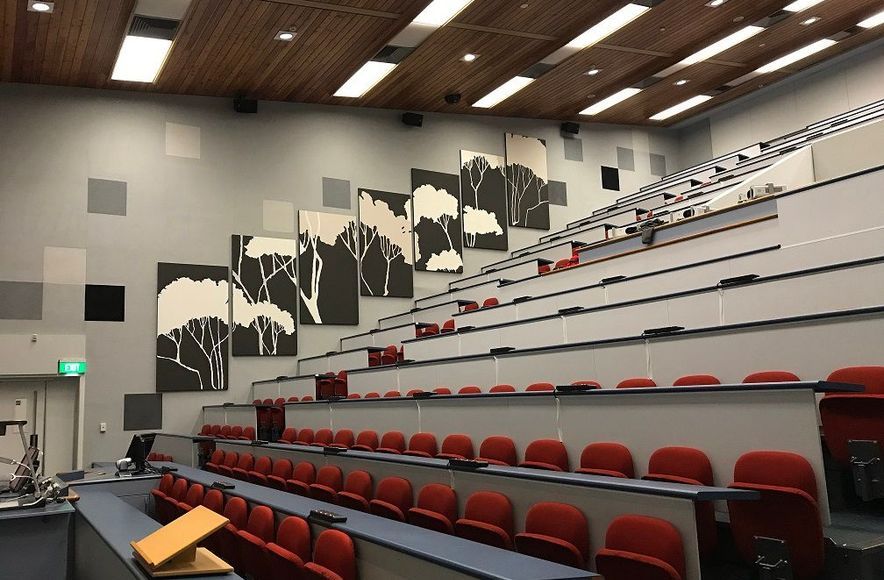 University of Waikato