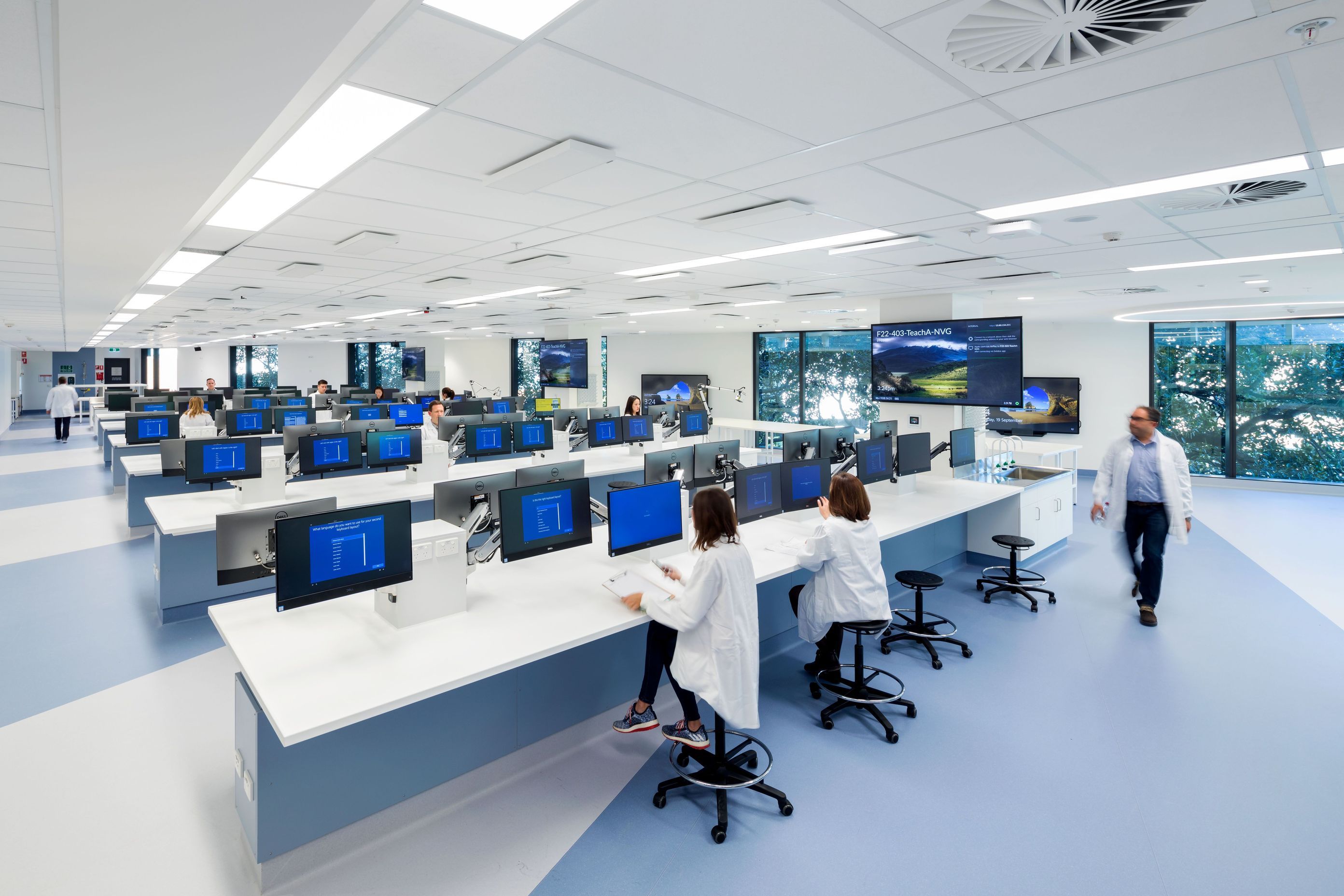 University of Sydney Life, Earth &amp; Environmental Sciences