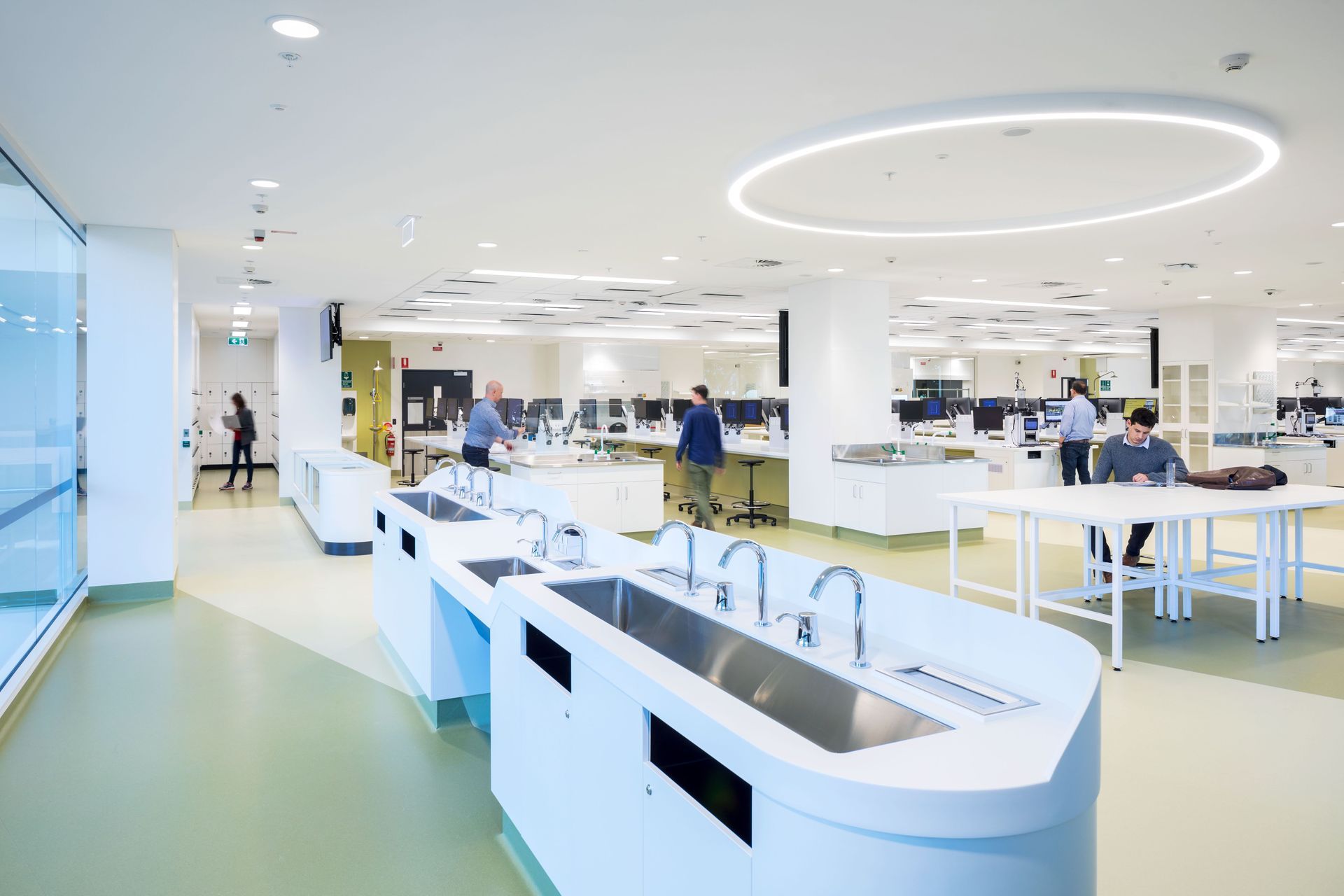 University of Sydney Life, Earth &amp; Environmental Sciences