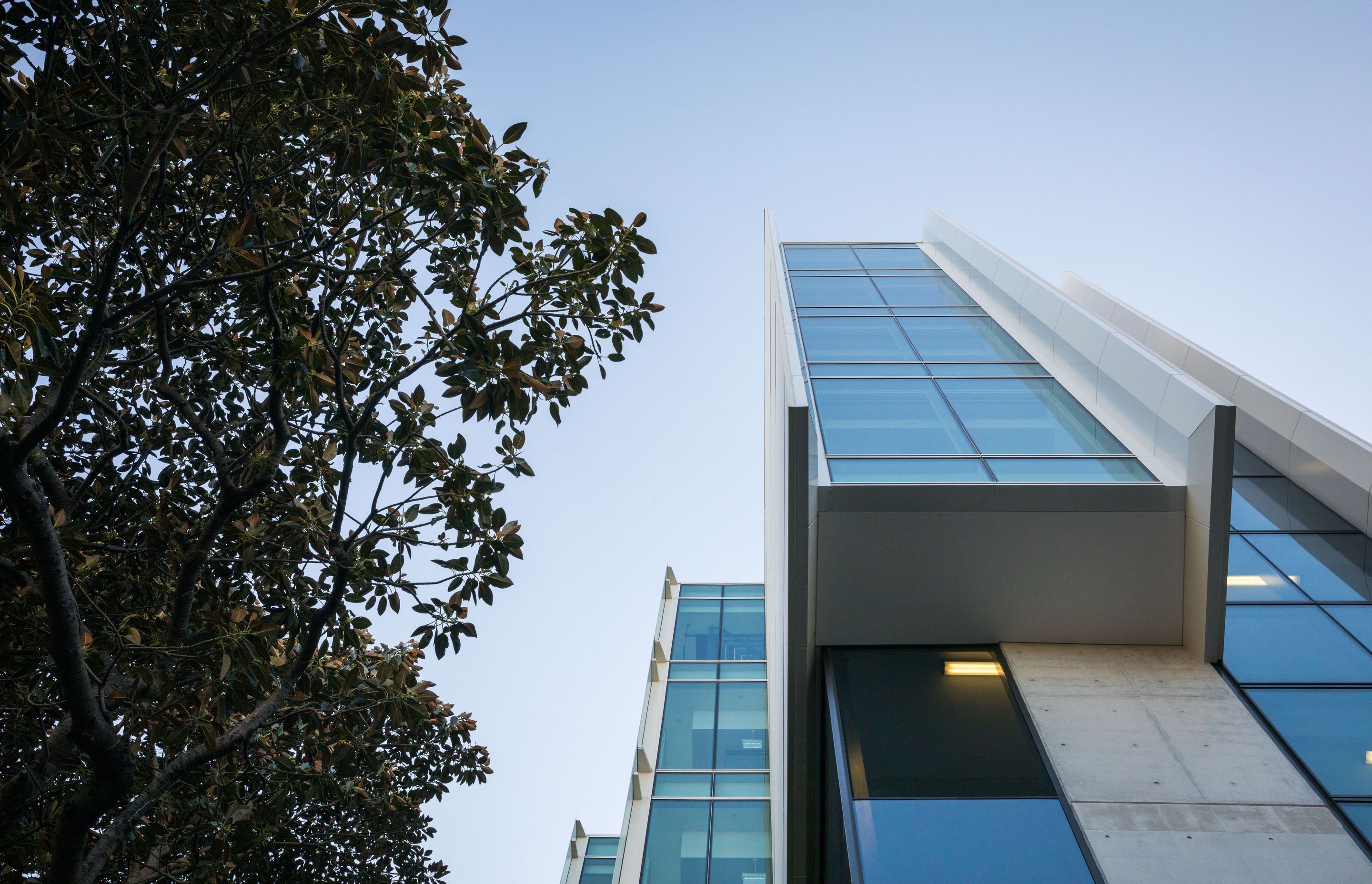 University of Sydney Life, Earth & Environmental Sciences