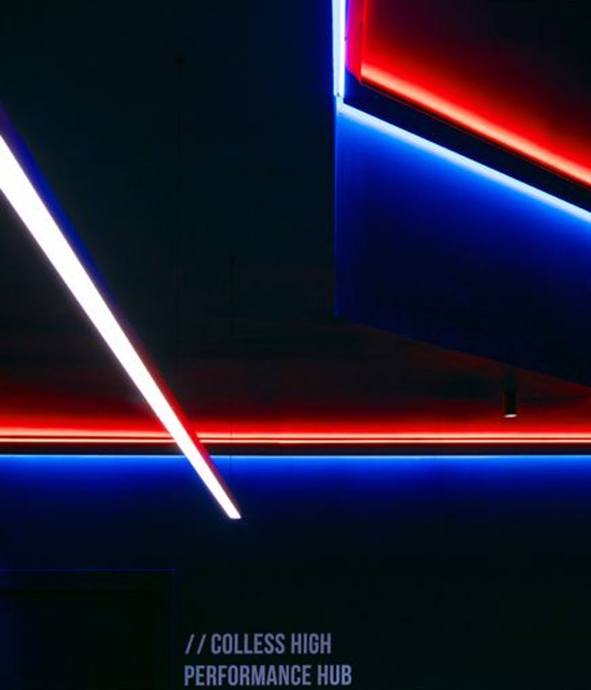 YSP5595-edit-copy.jpg