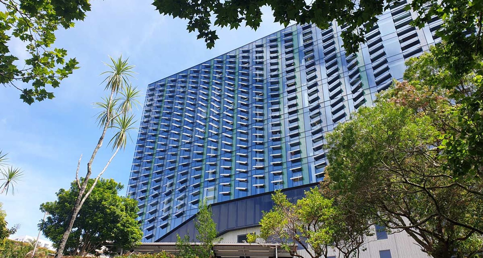 University of Auckland Building 405 banner