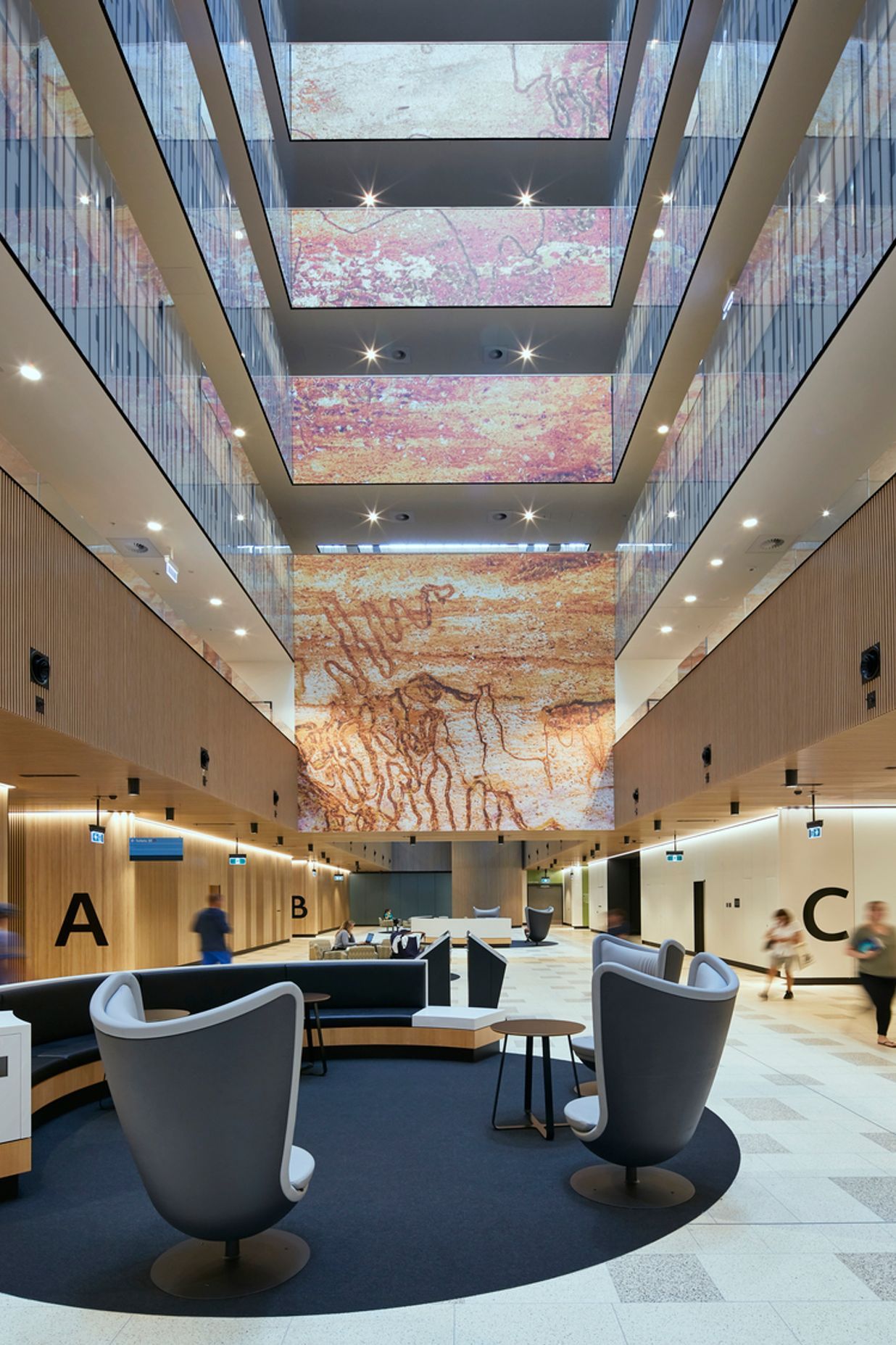 Northern Beaches Hospital