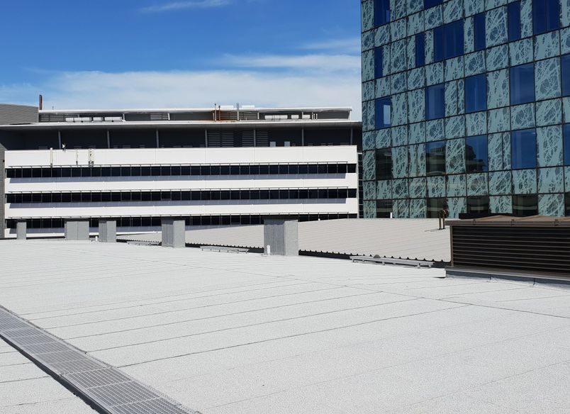 Waipapa - Christchurch Hospital