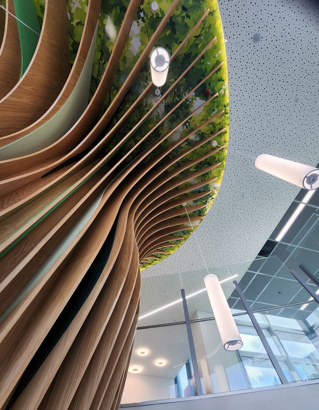 Wellington Childrens Hospital Feature Staircase