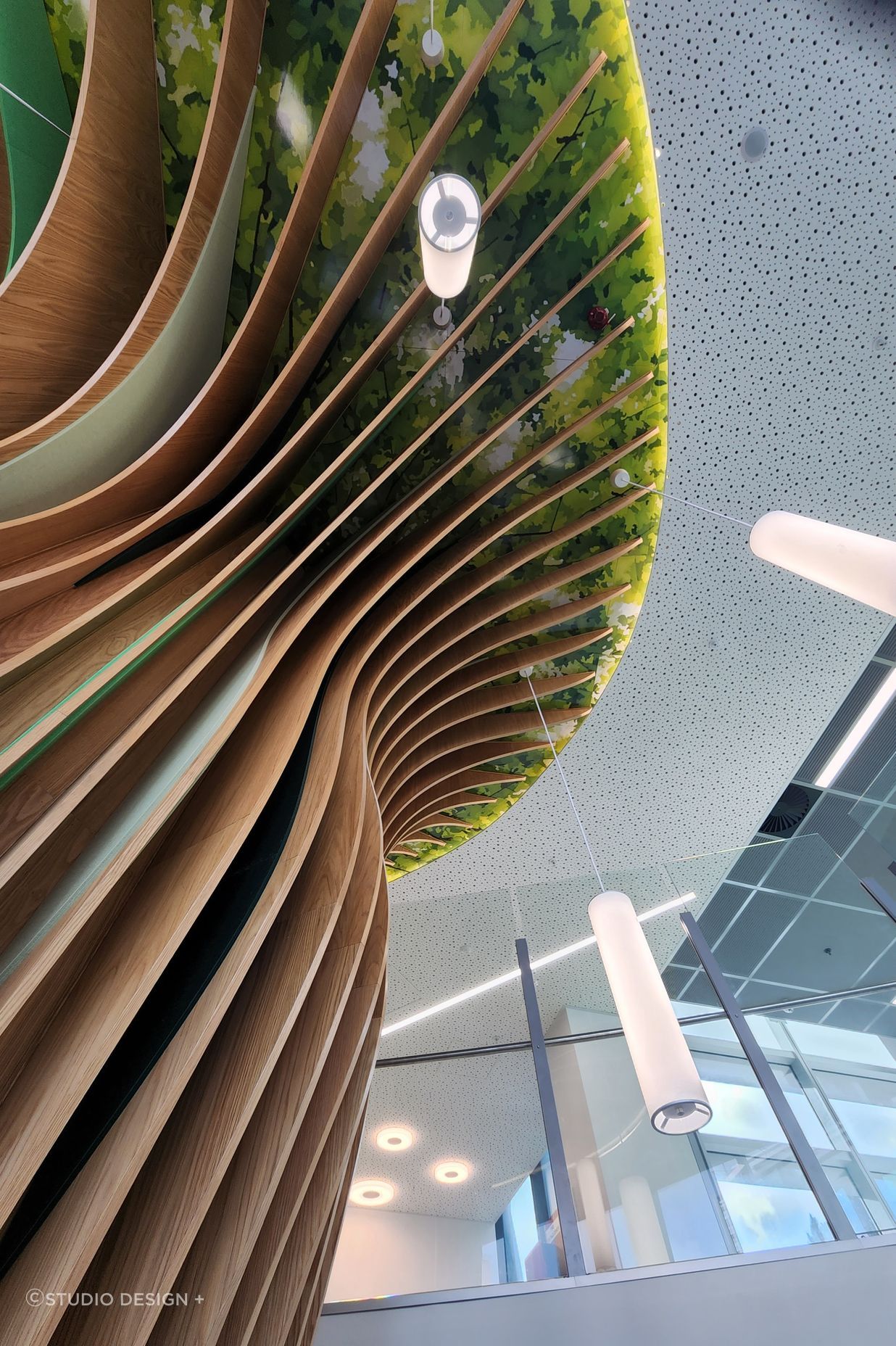 Wellington Childrens Hospital Feature Staircase