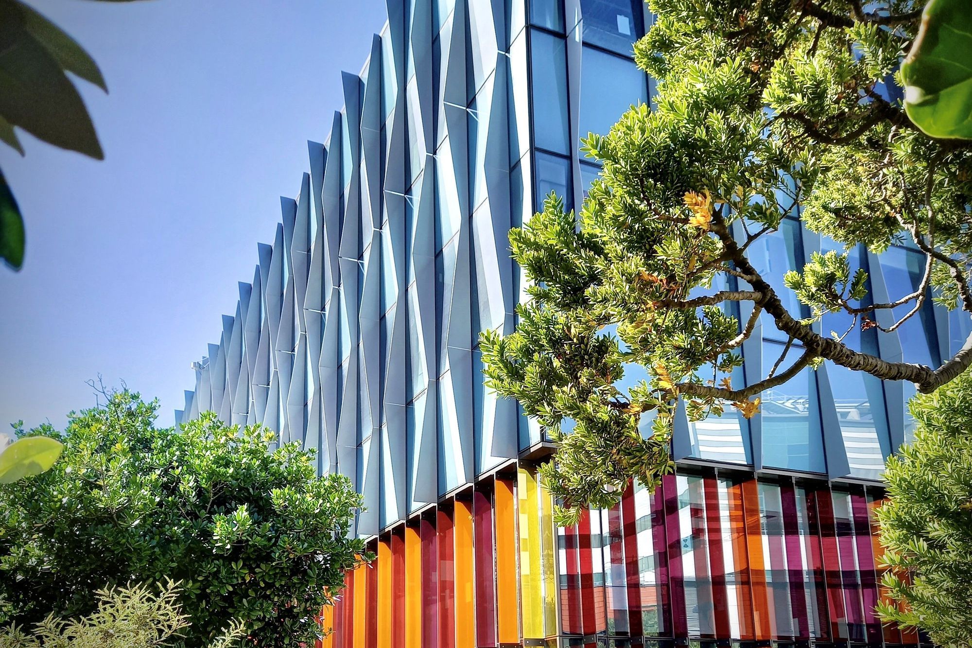 Wellington Regional Children's Hospital