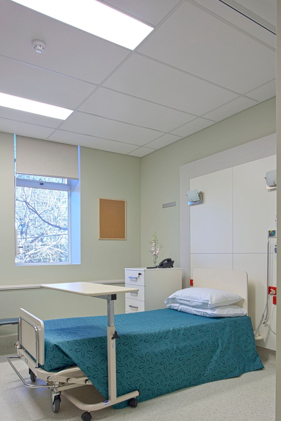 MPD-Naringha20.JPG