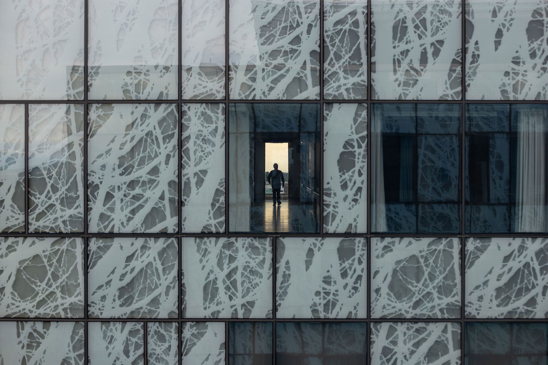 Christchurch Hospital Waipapa