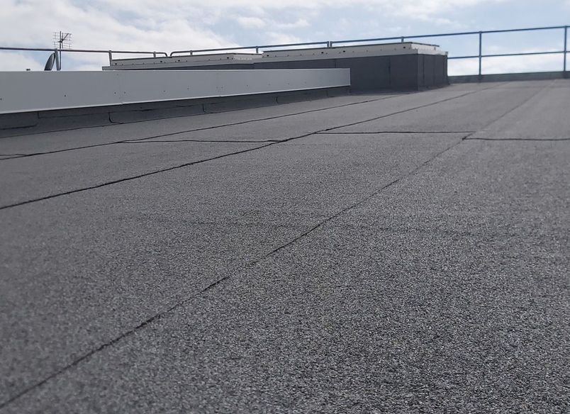 Tōtara Haumaru – North Shore Hospital