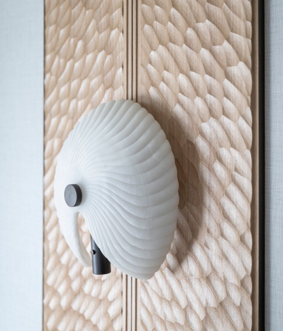 Working closely with Ngāti Whātua Ōrākei, Space Studio developed a story around the “paper nautilus” – an octopus that makes a parchment-like shell to carry incubating eggs into shore.