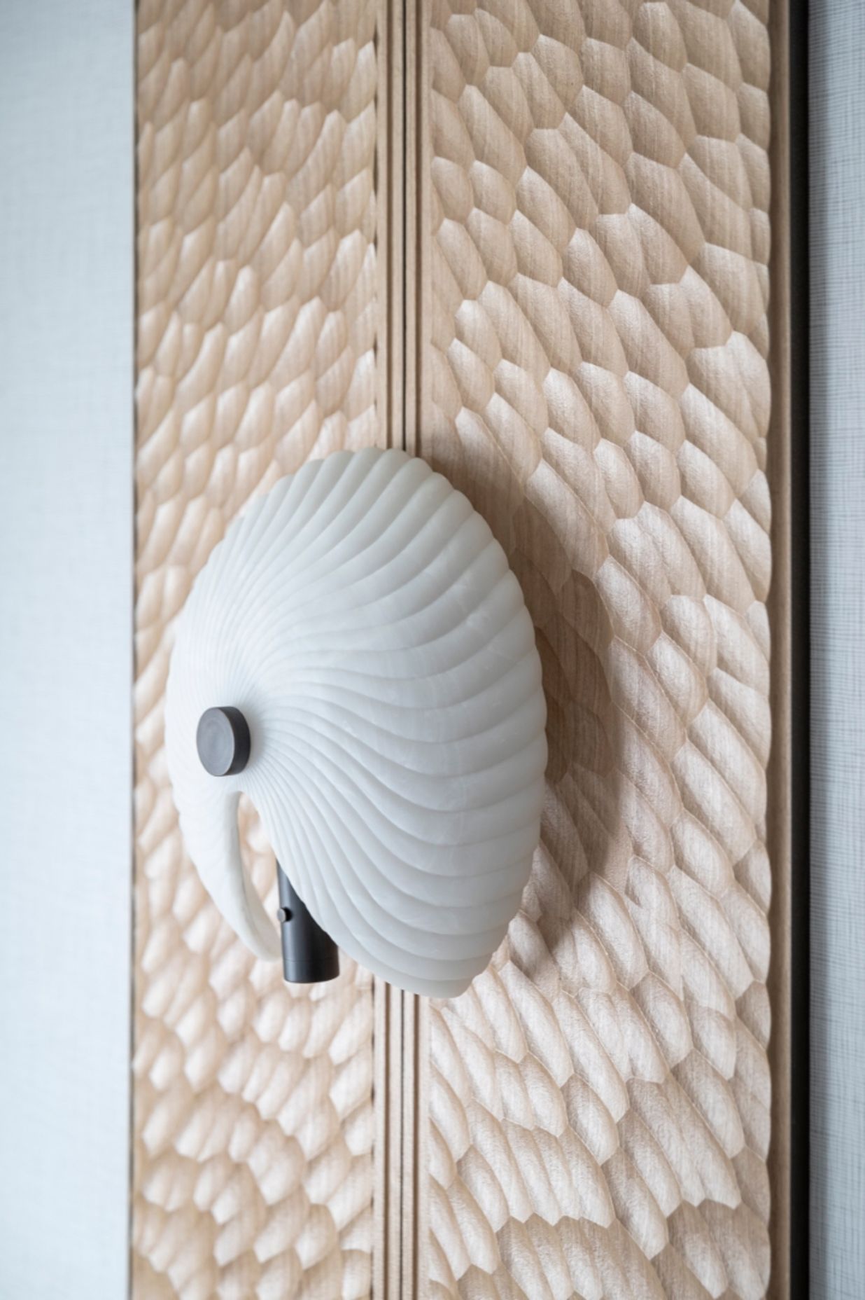 Working closely with Ngāti Whātua Ōrākei, Space Studio developed a story around the “paper nautilus” – an octopus that makes a parchment-like shell to carry incubating eggs into shore.