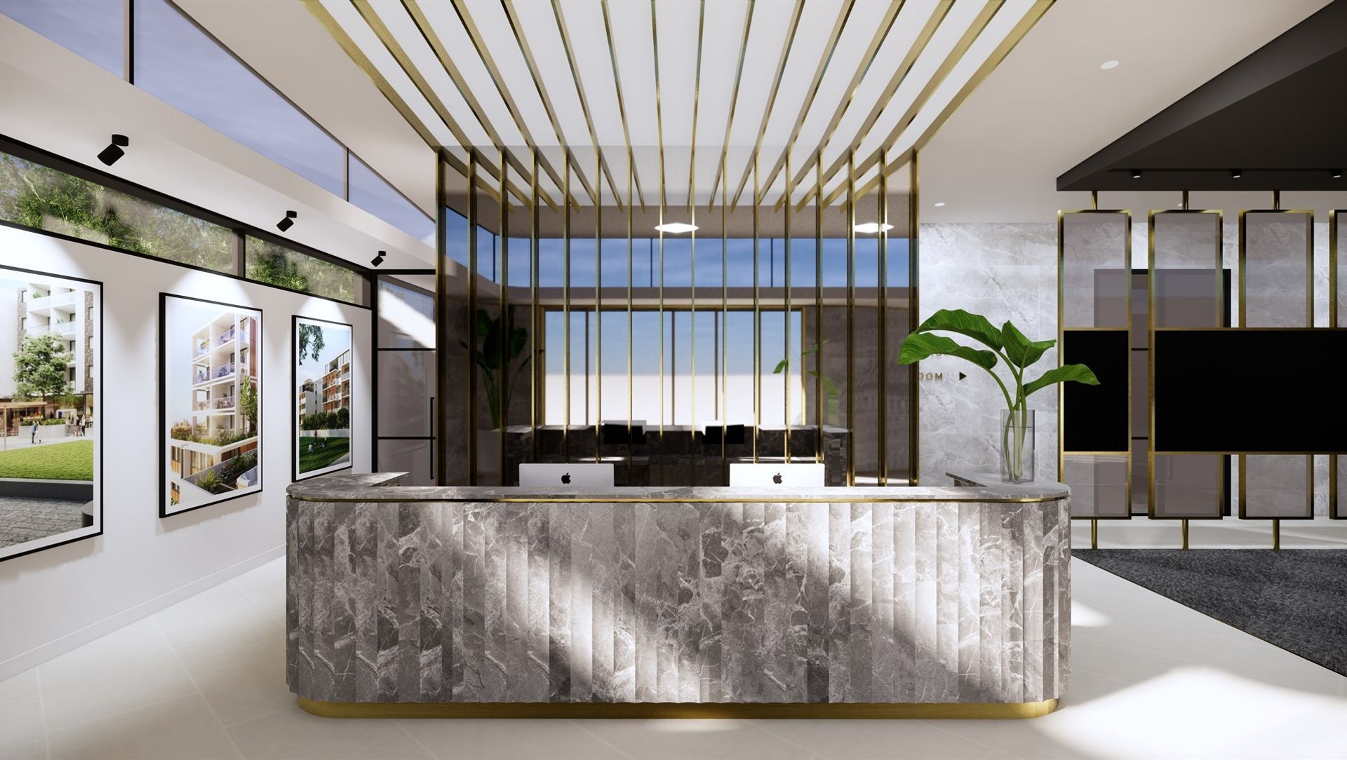 Display Suite II banner