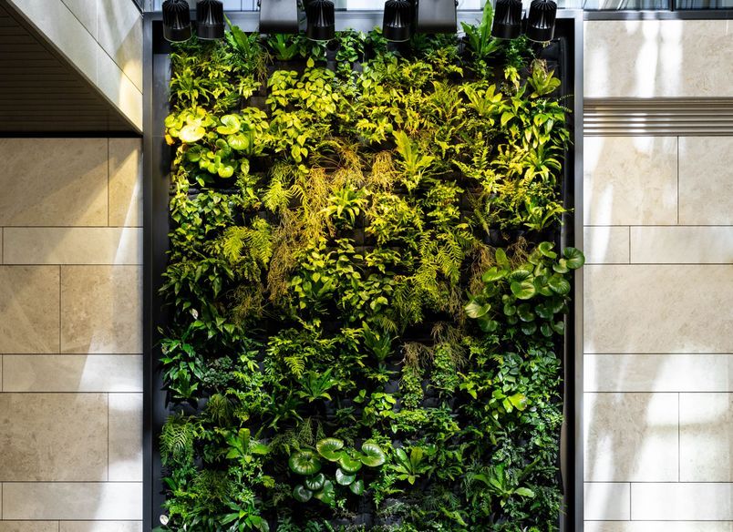 Hotel Grand Chancellor Auckland