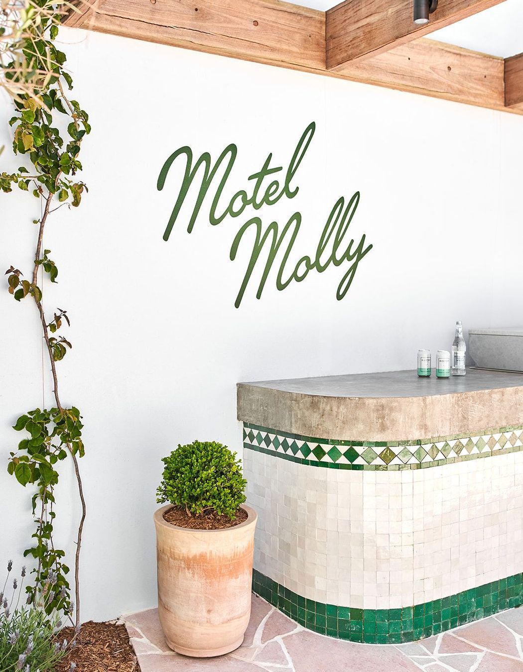 Motel Molly
