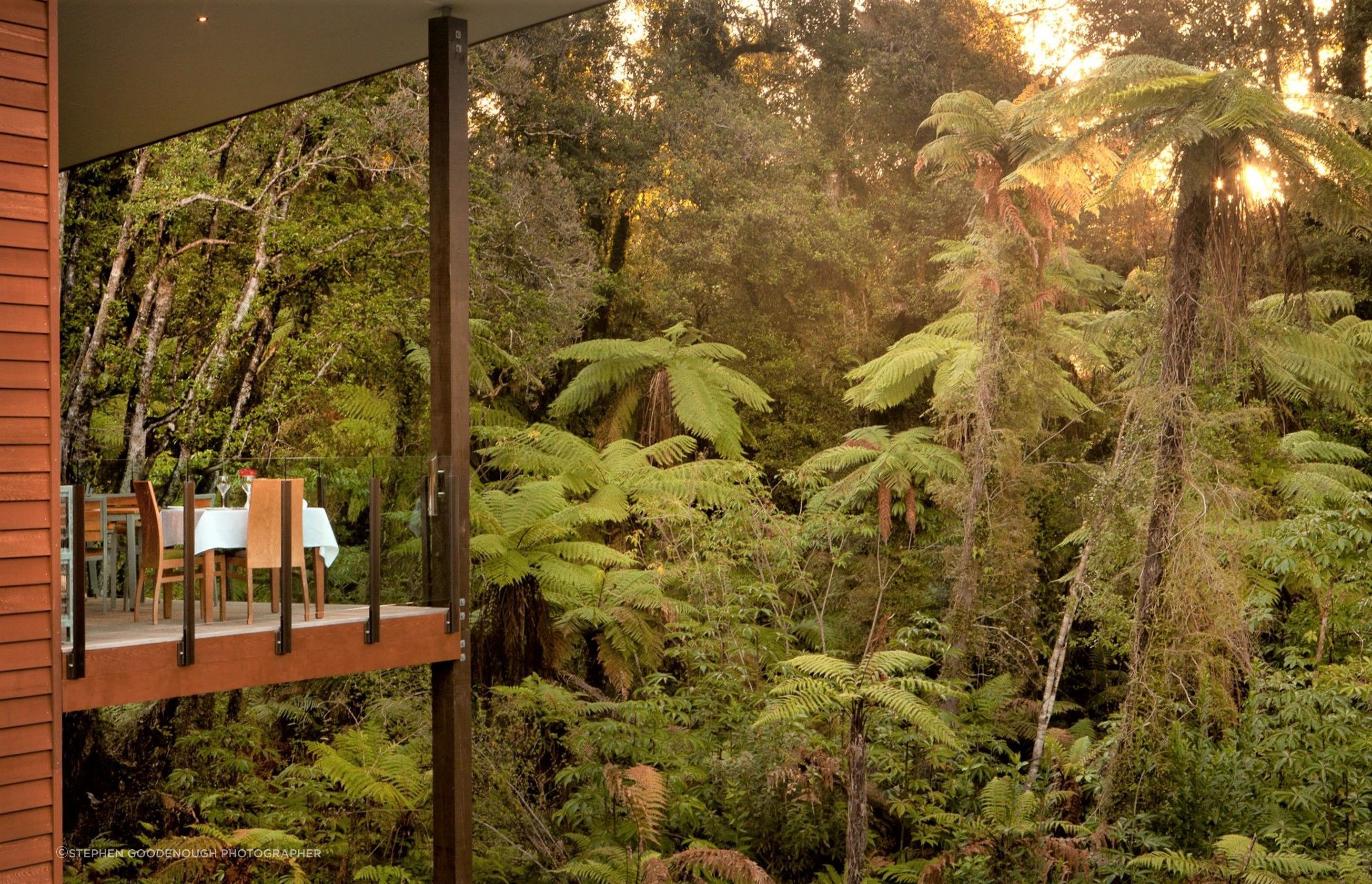 TW-Native-bush-amp-Canopy-Restaurant-4.jpg