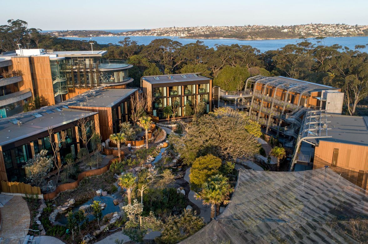 Room with a View at Taronga