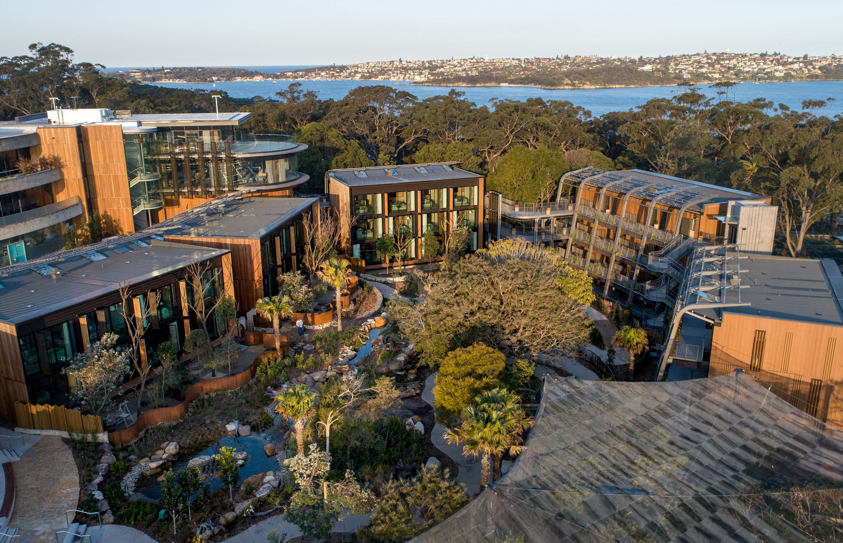 Room with a View at Taronga