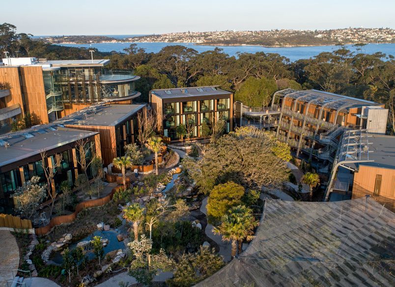 Room with a View at Taronga