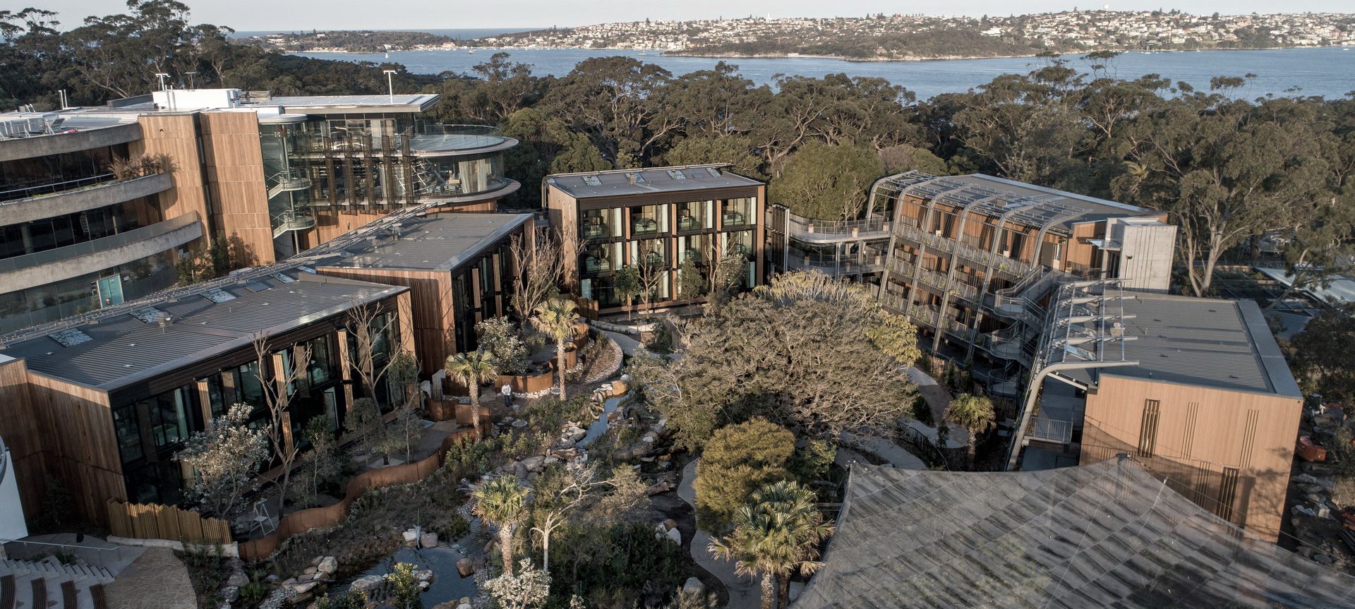 Room with a View at Taronga banner
