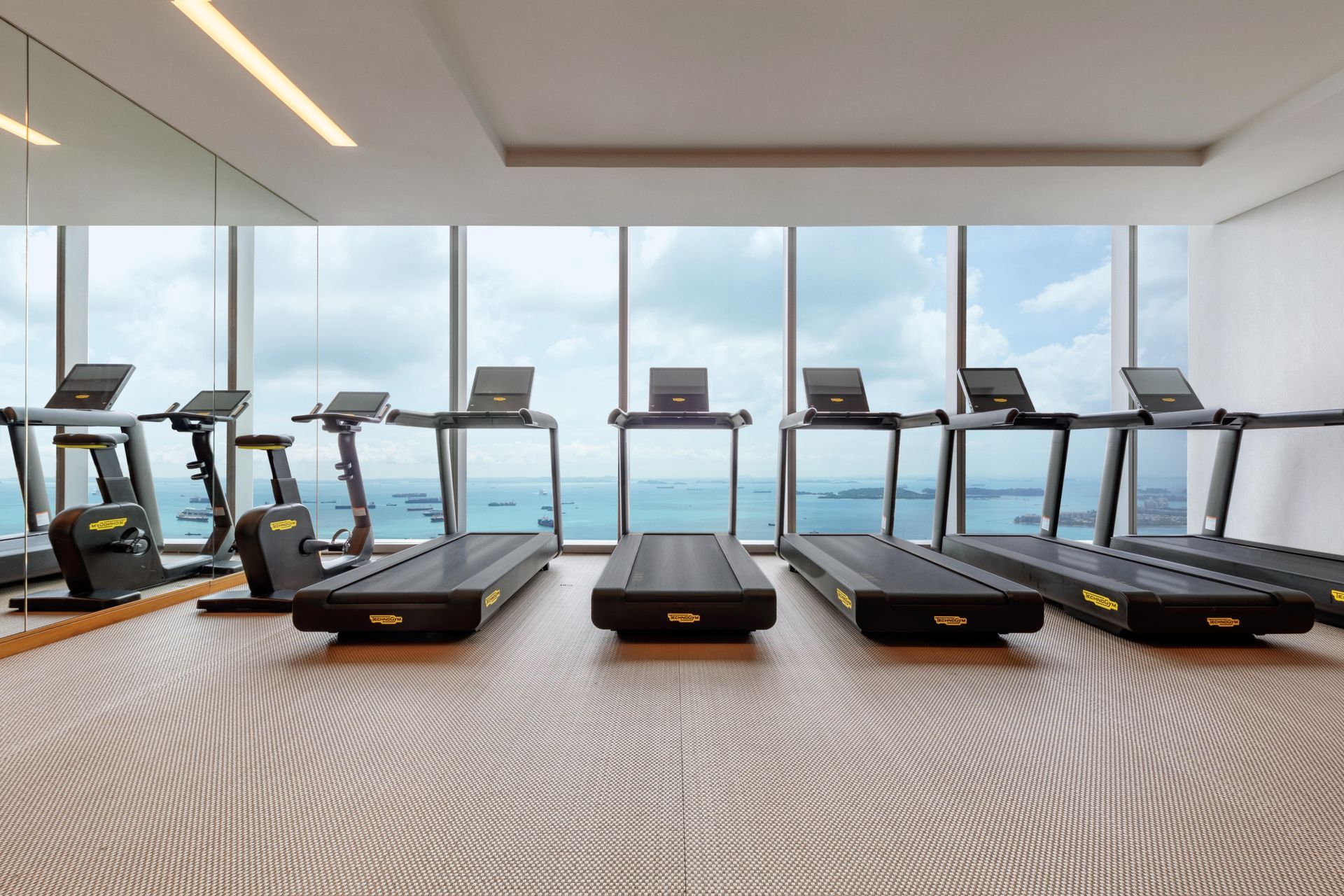 Westin-Gym-2-ap-compressed.jpg