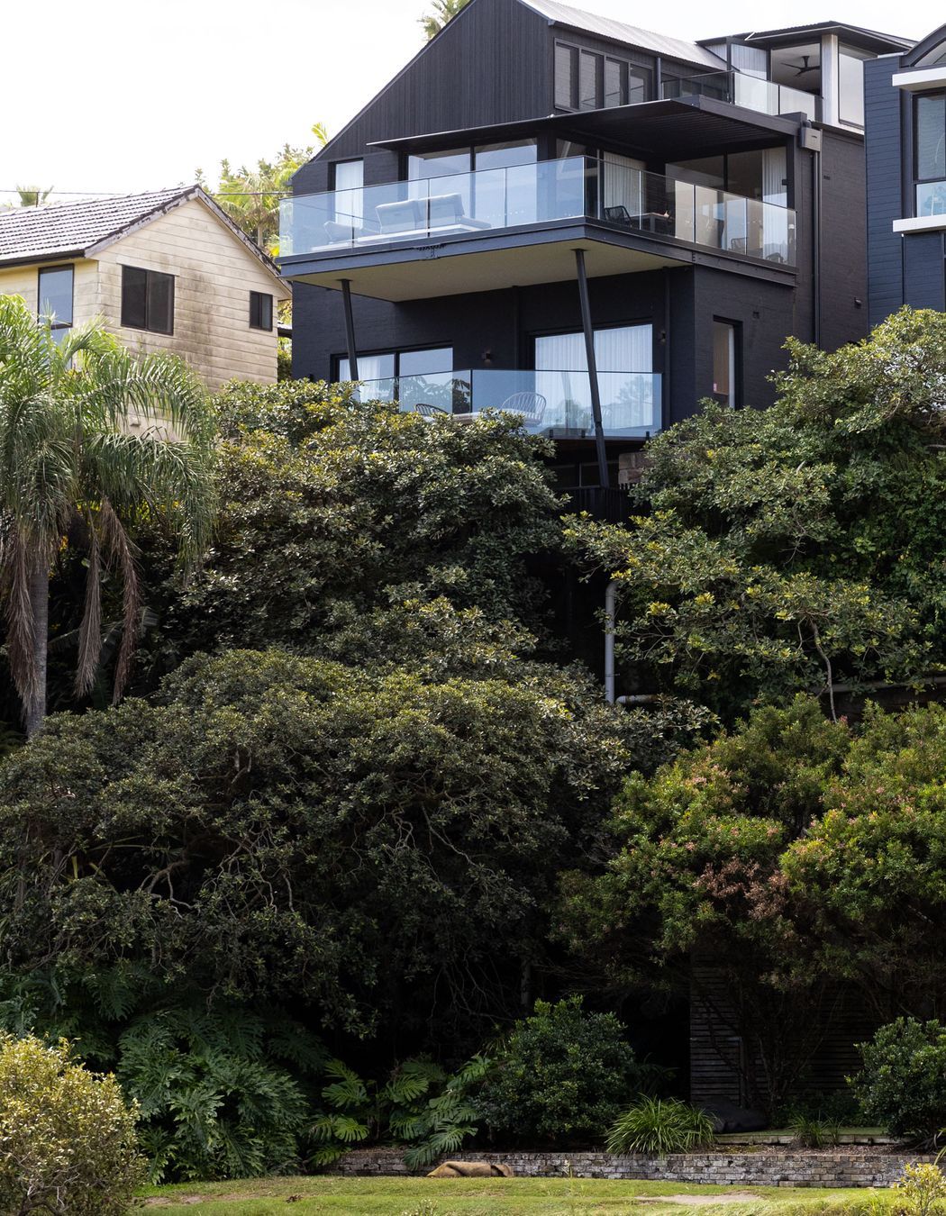 Queenscliff08051.jpg