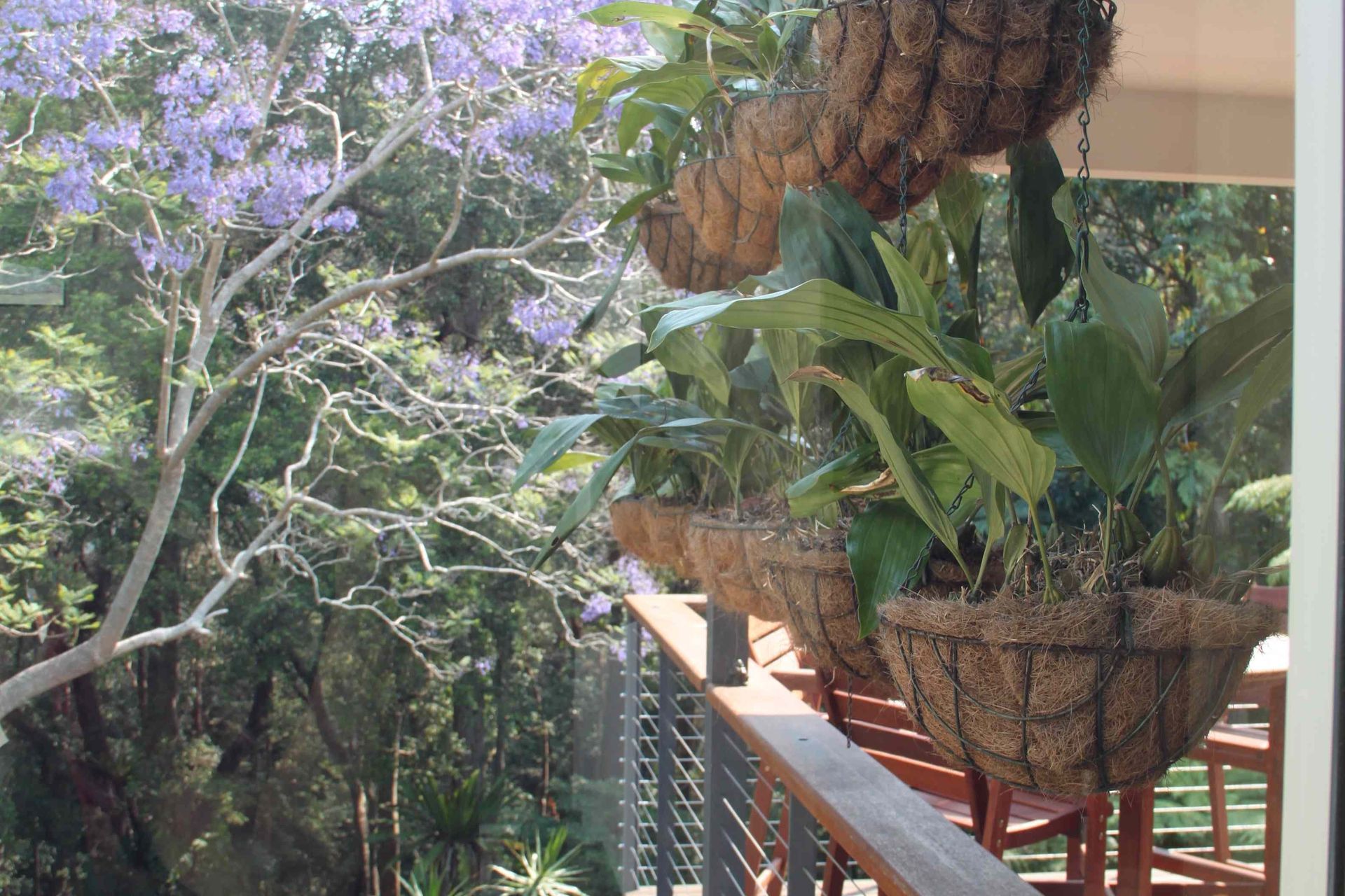 Photography: Hilit Einav