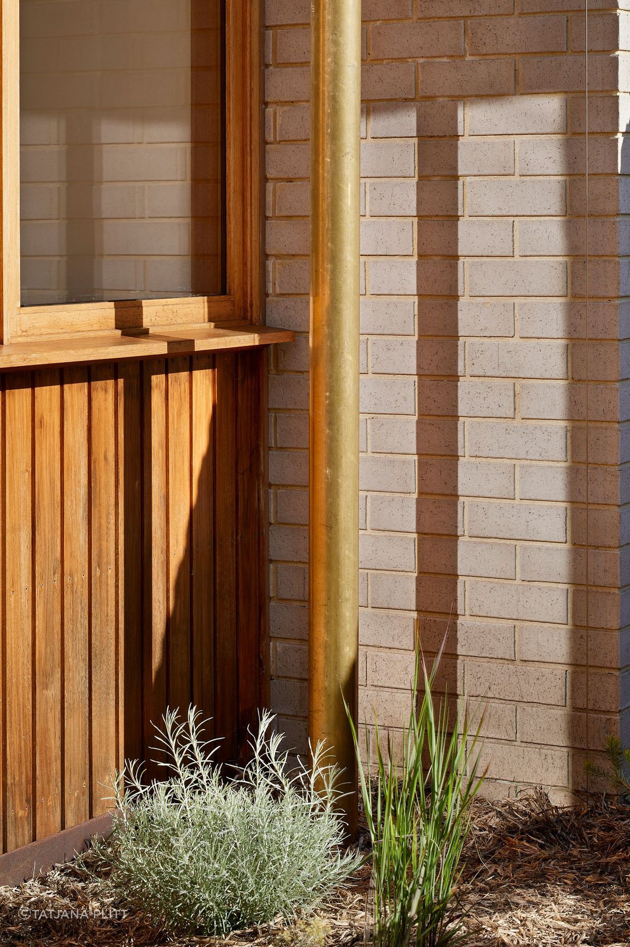 0077-16-backyard-detail.jpg