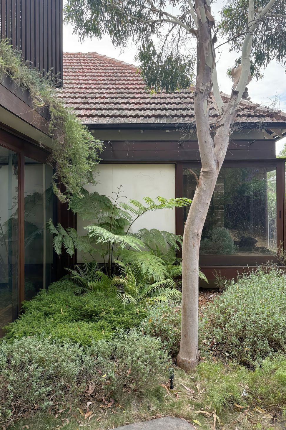 01-Matt-Day-Architect-Matt-Day-Tempe-House-Alteration-Addition-Timber-Courtyard-Garden.jpeg