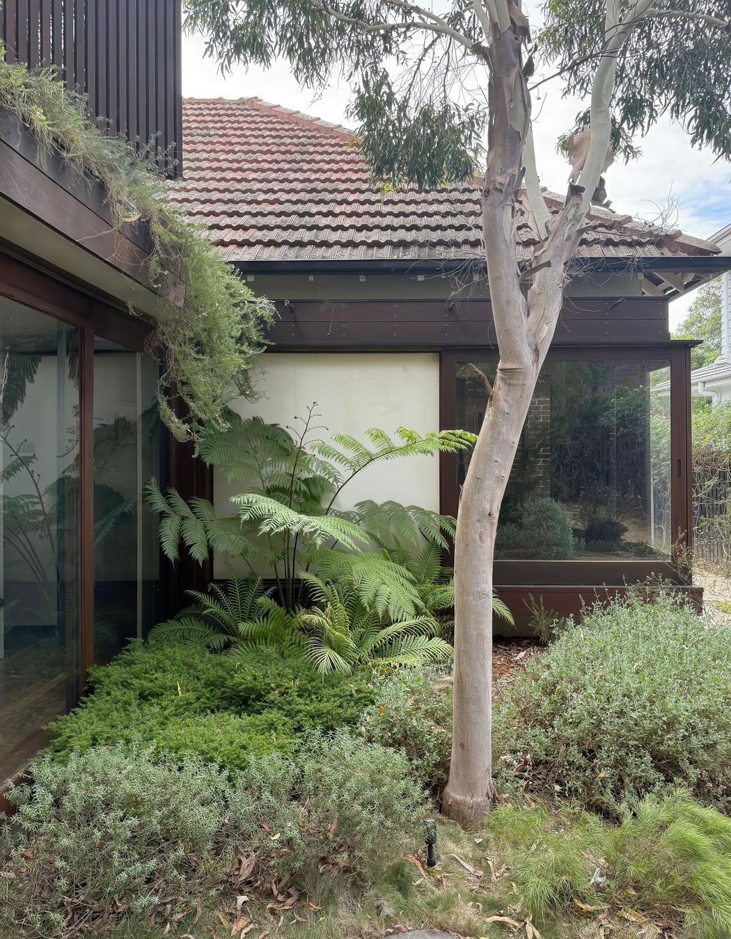 01-Matt-Day-Architect-Matt-Day-Tempe-House-Alteration-Addition-Timber-Courtyard-Garden.jpeg