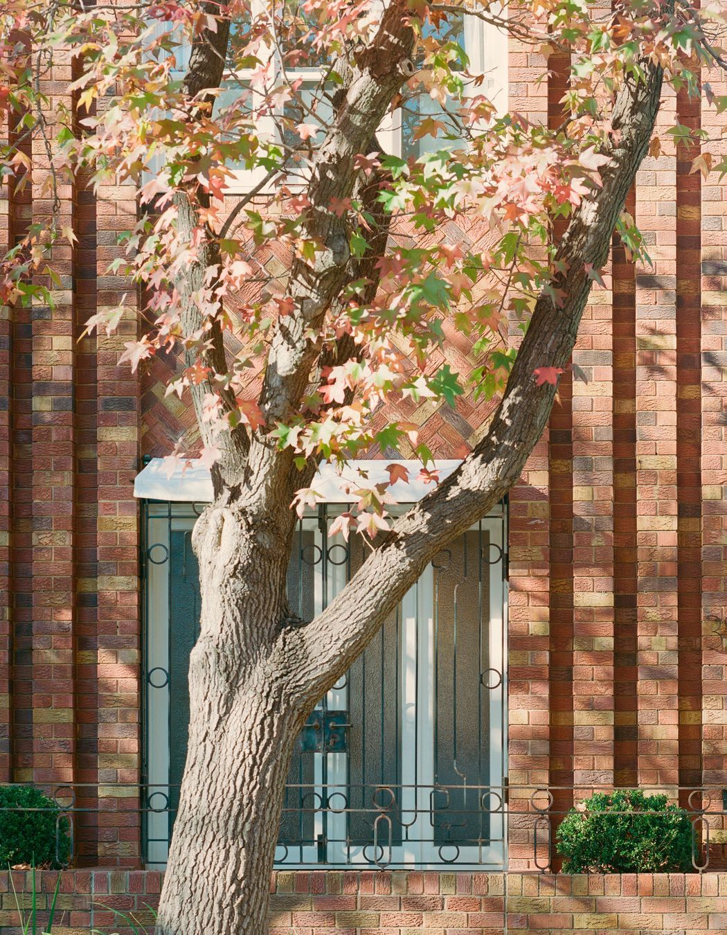 Photography: Rory Gardiner