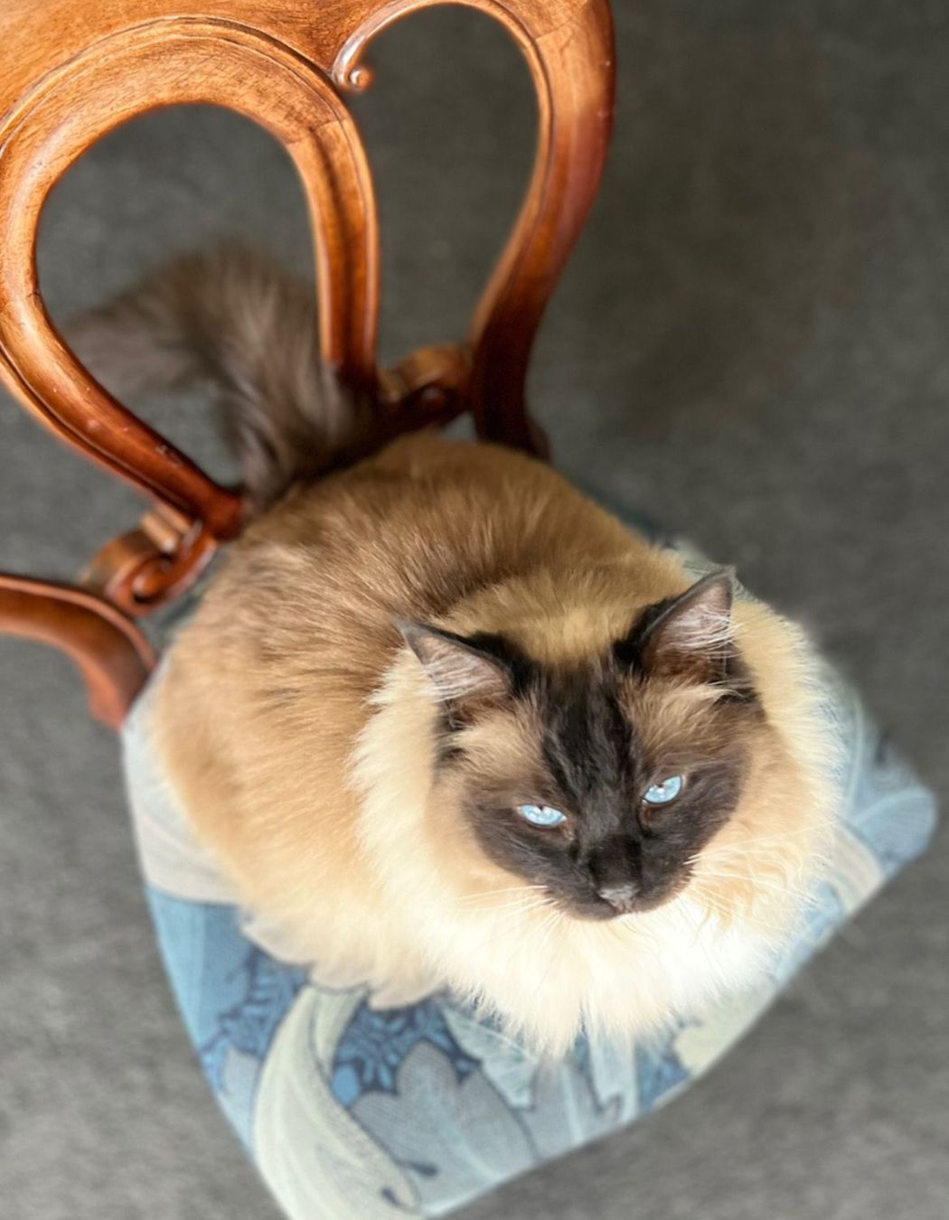 A Reupholstery Project