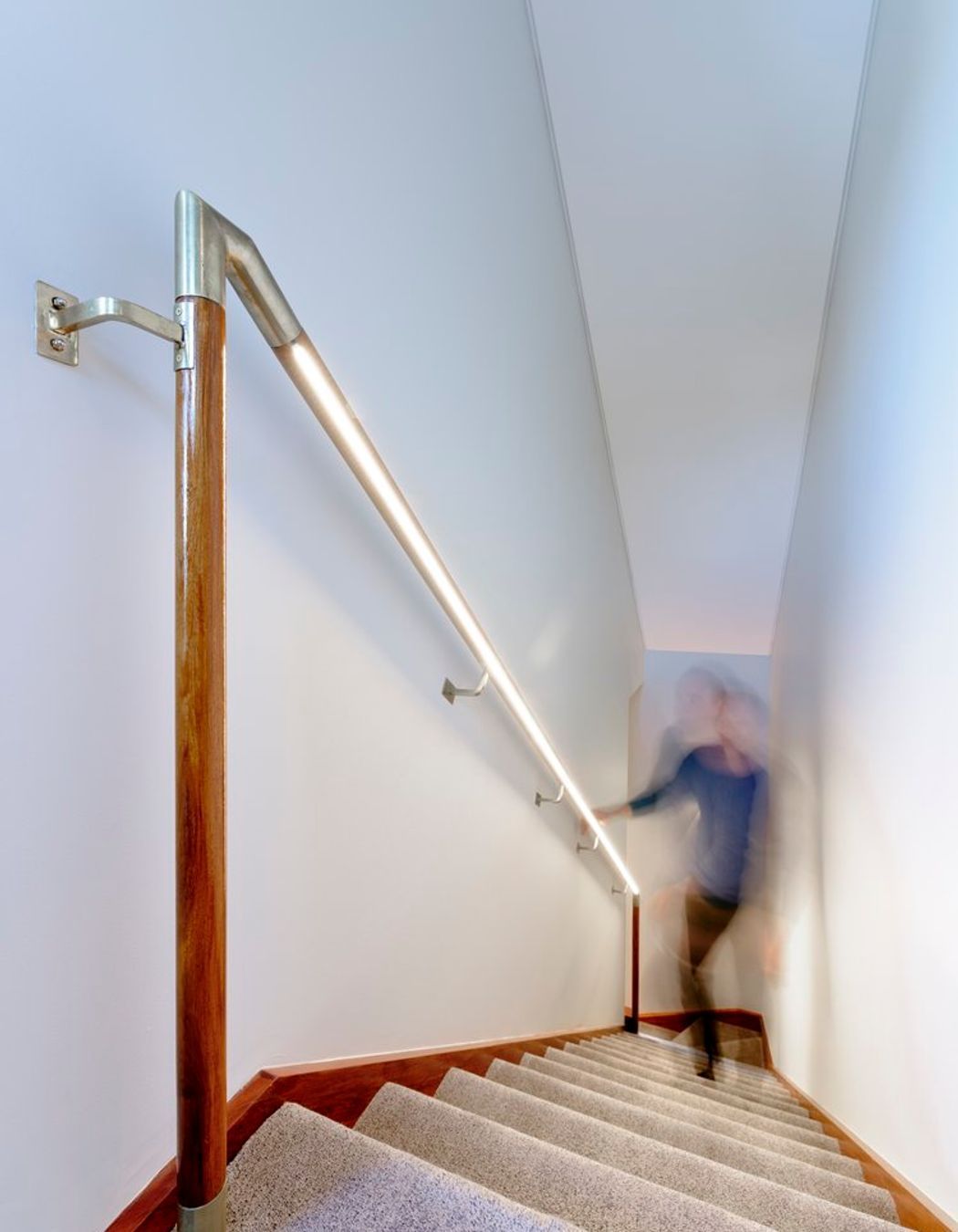 Lilyfield House