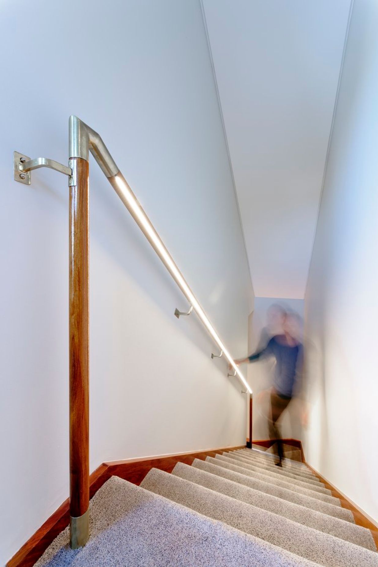 Lilyfield House