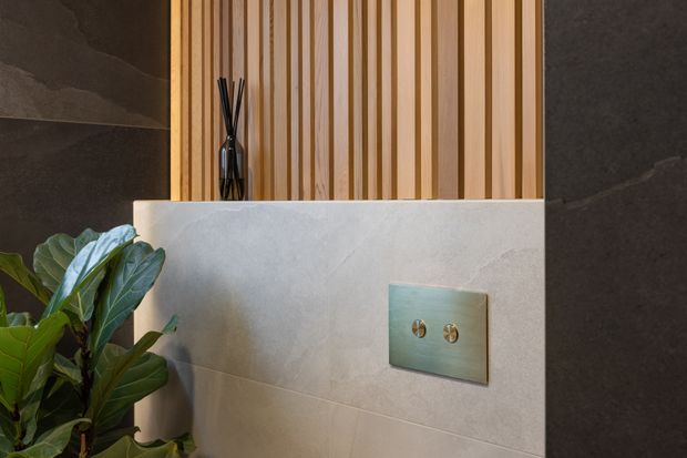 Close-up of a refined bathroom feature wall with large grey stone-look tiles, a pale stone or porcelain half-height wall, vertical timber slat detailing, and a brushed brass-toned dual flush plate. A leafy plant and reed diffuser add natural decorative elements.