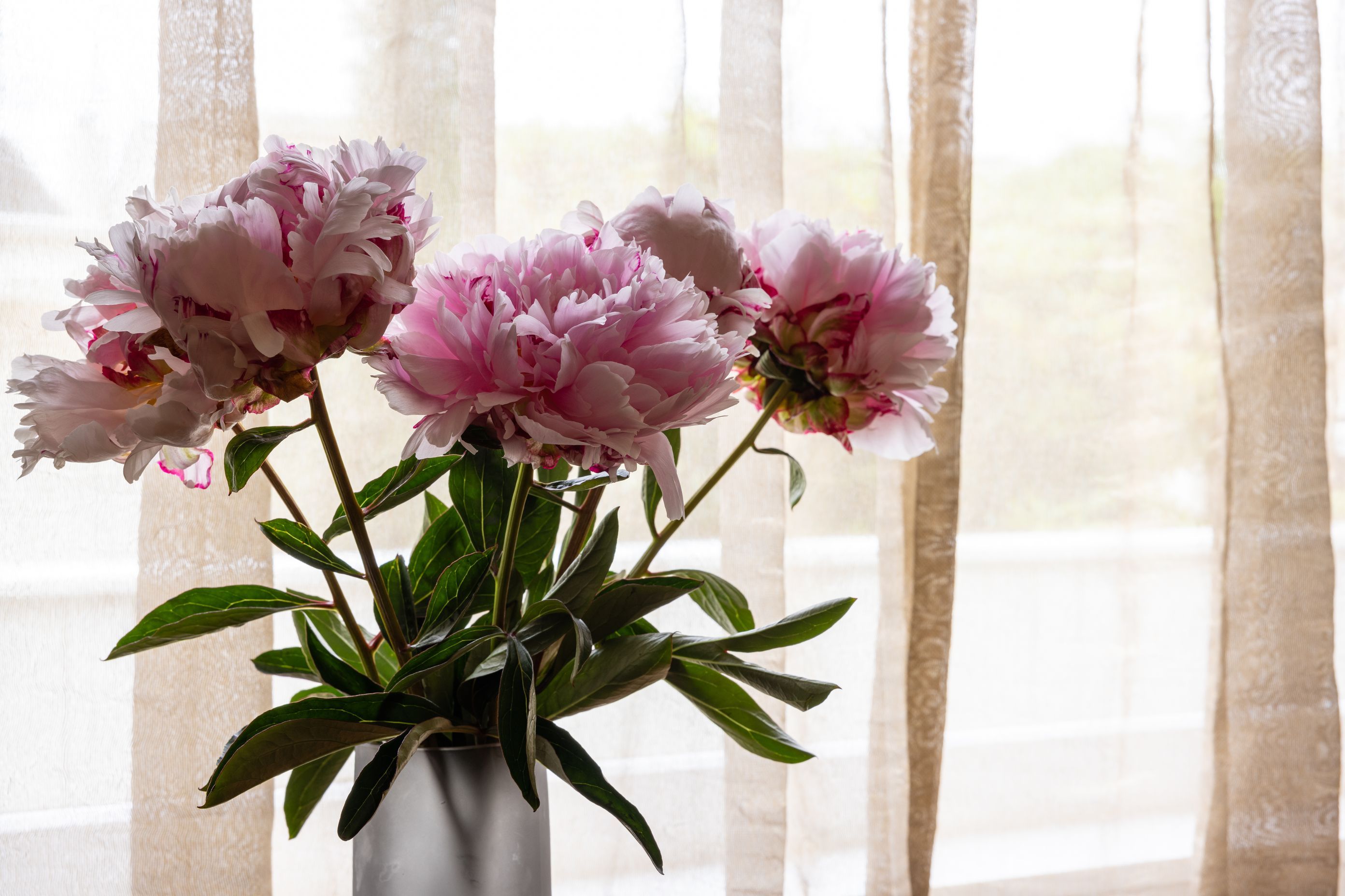 0C6A8582-25.jpg