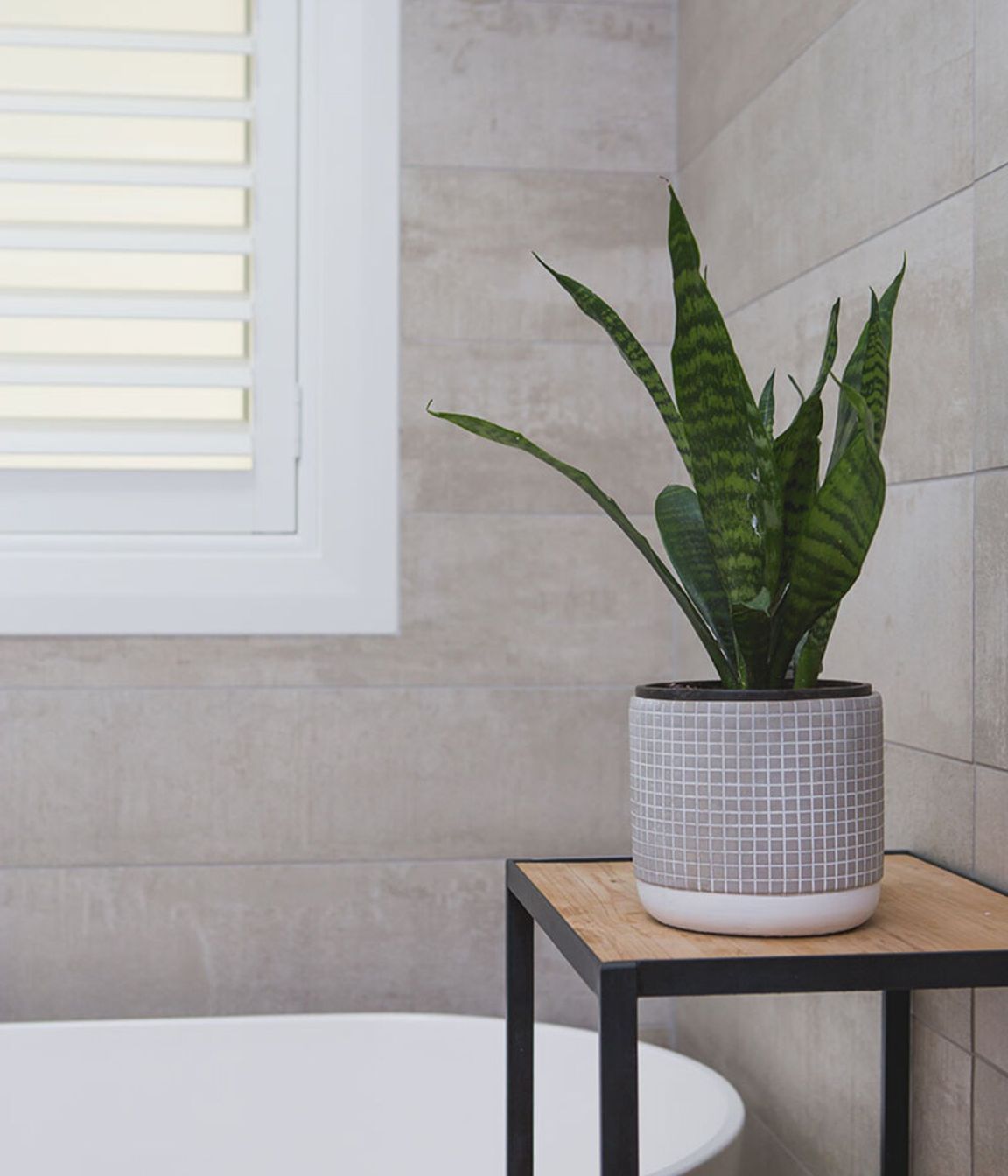 10homestarrenovation17.jpg