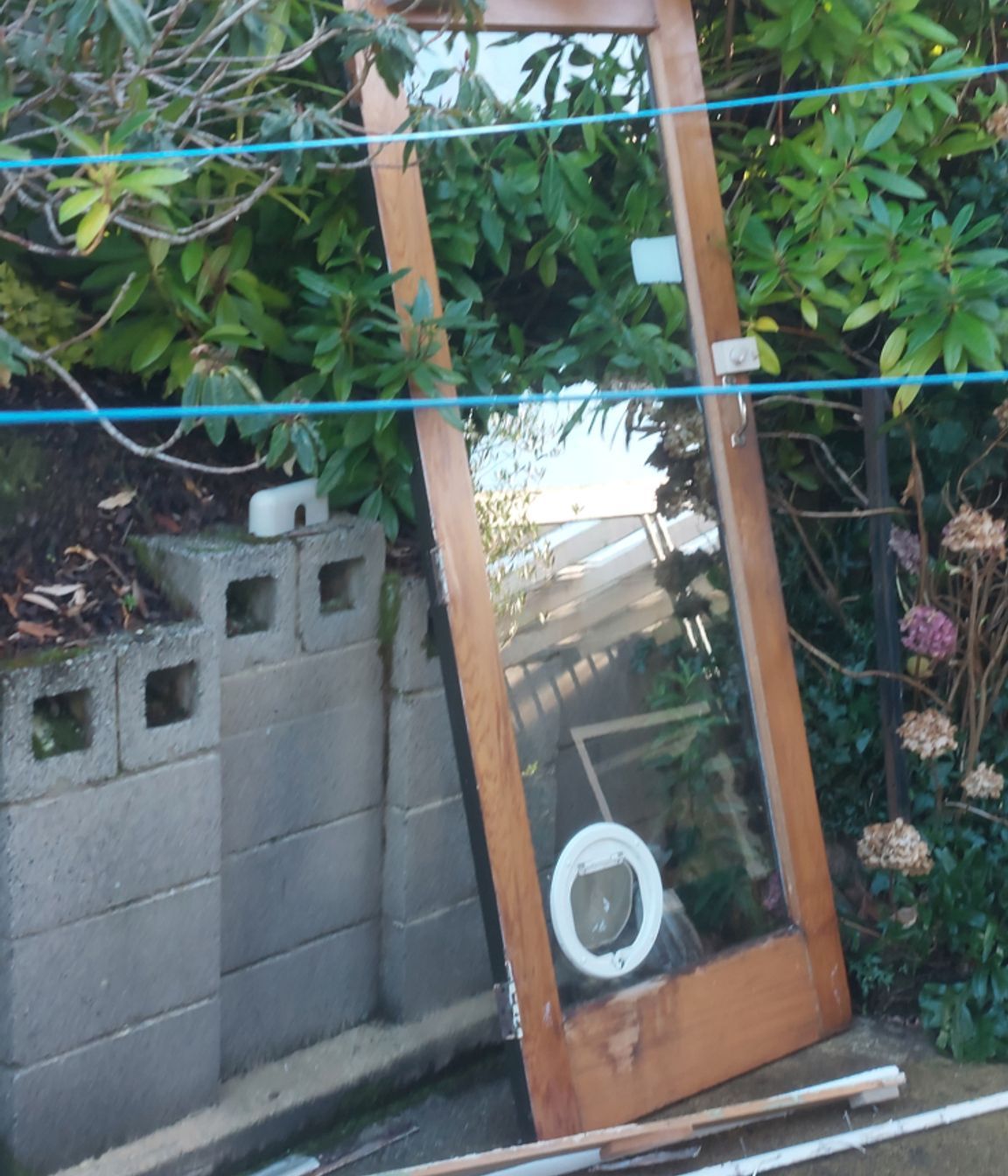 13-19-Tweed-St-Roslyn-Dunedin-Removal-of-the-old-single-glazed-back-door-JDBuilders.jpg