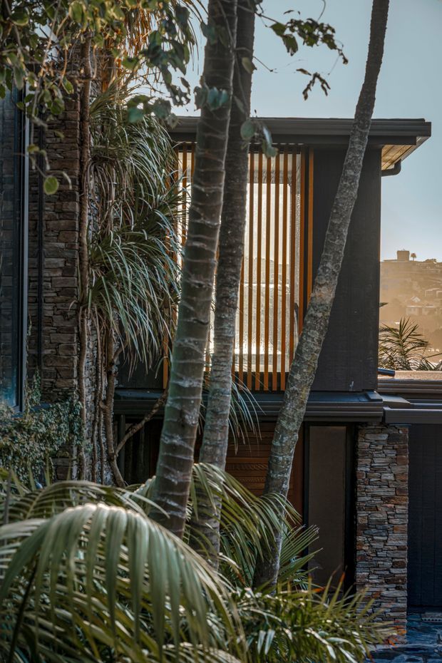 A close exterior view of a modern, dark-clad building partially screened by lush tropical planting and slender palm trees. The facade combines stacked natural stone walls, dark vertical cladding, timber-look vertical slatted screening, and broad low-pitched roof overhangs. A sunlit residential landscape is visible in the distance.