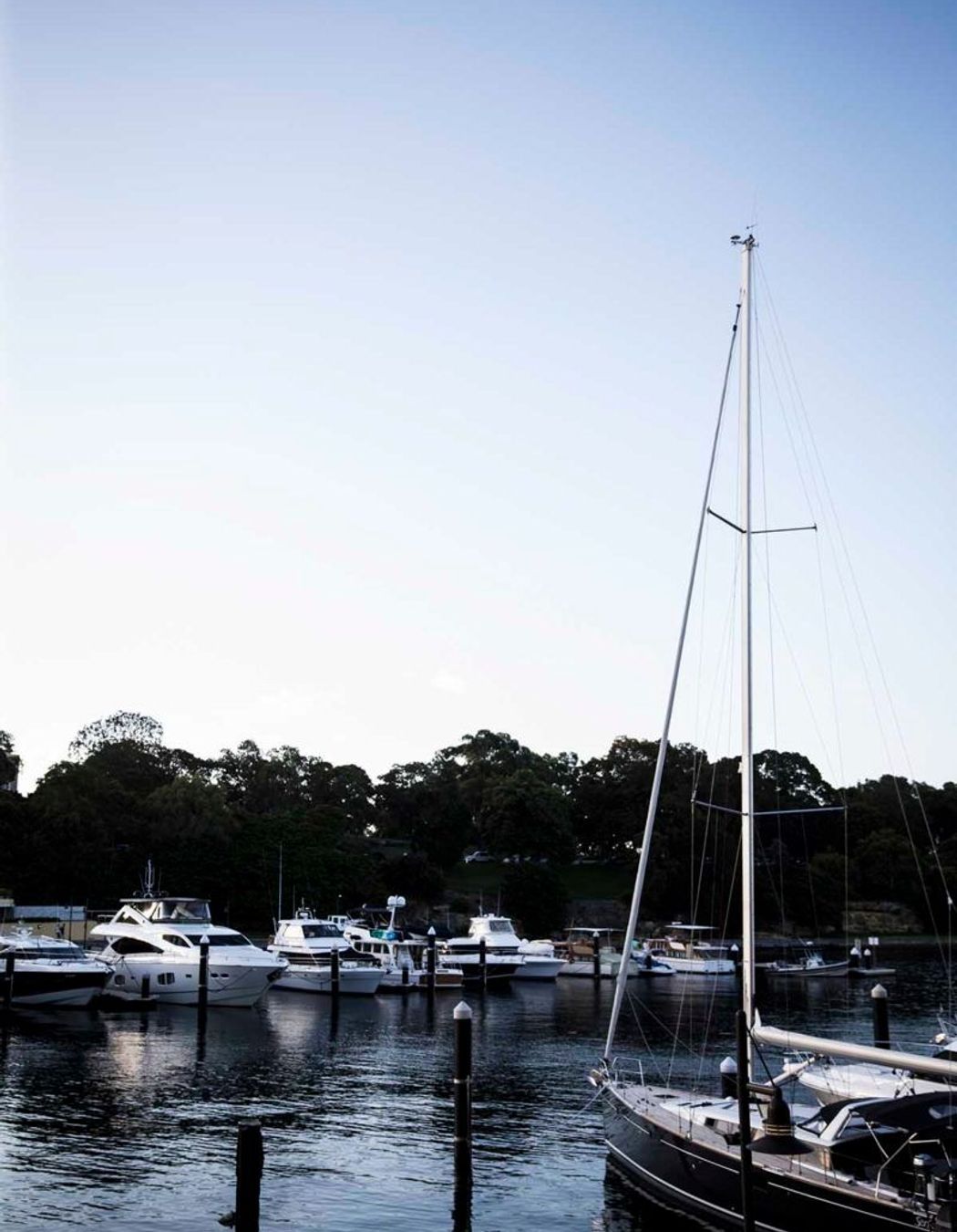 Photography: Chris Warnes & Katherine Lu