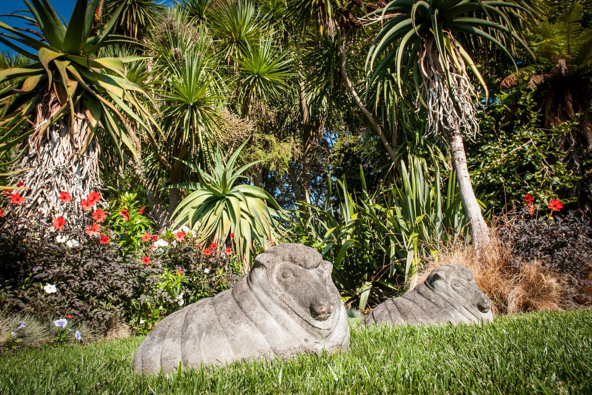 Kohimaramara Garden &amp; Green Wall