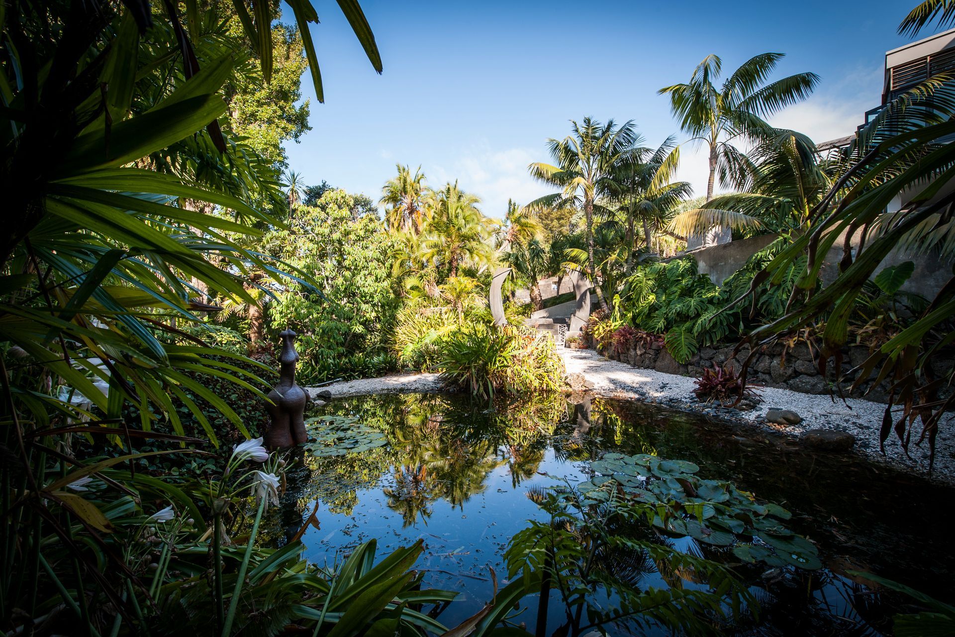 Kohimaramara Garden &amp; Green Wall