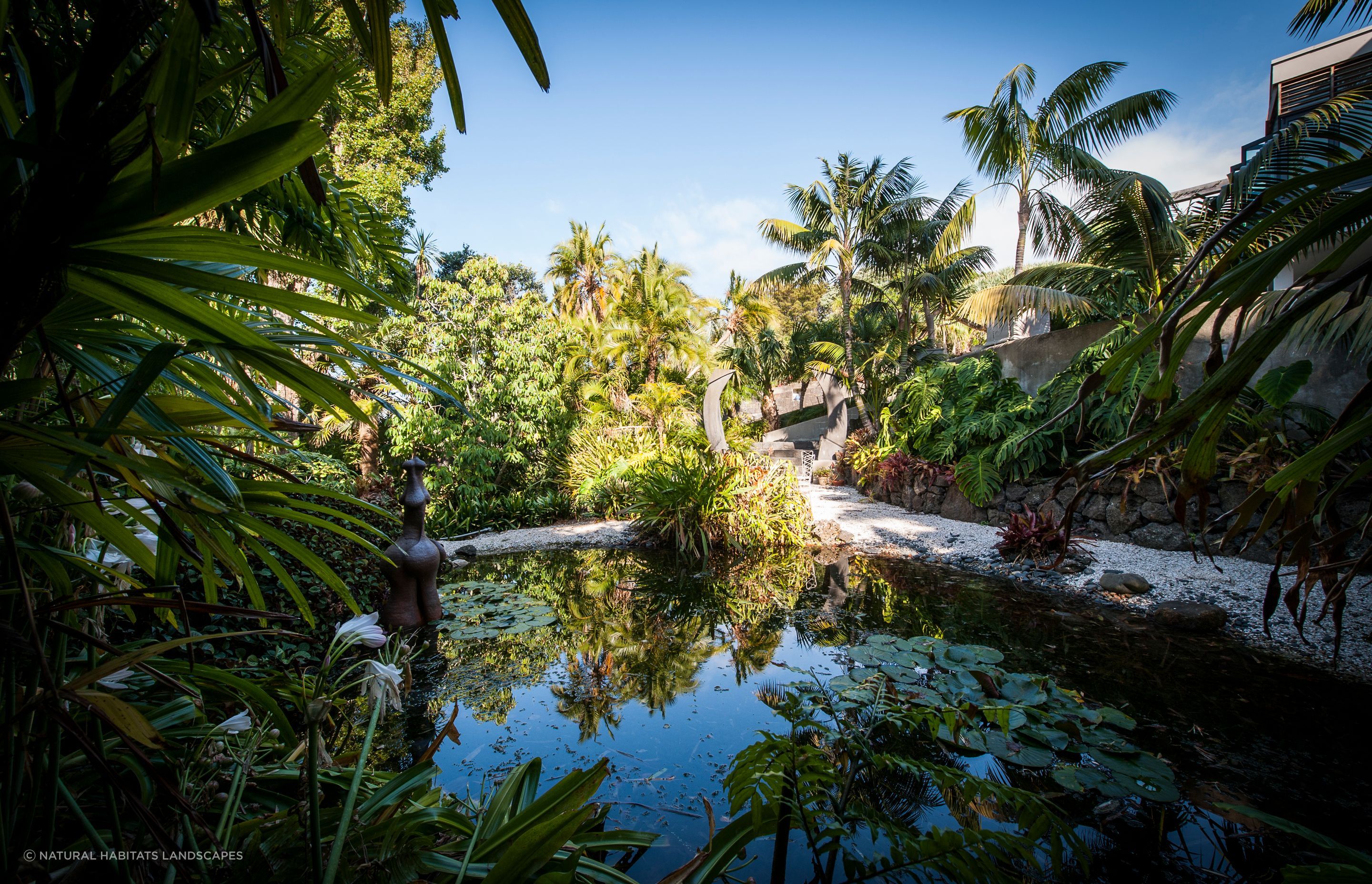 Kohimaramara Garden &amp; Green Wall